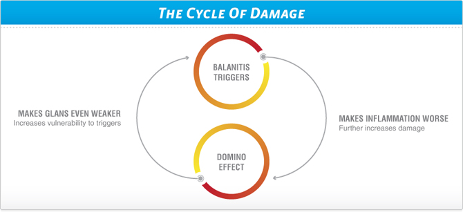 Balanitis Cycle of Damage